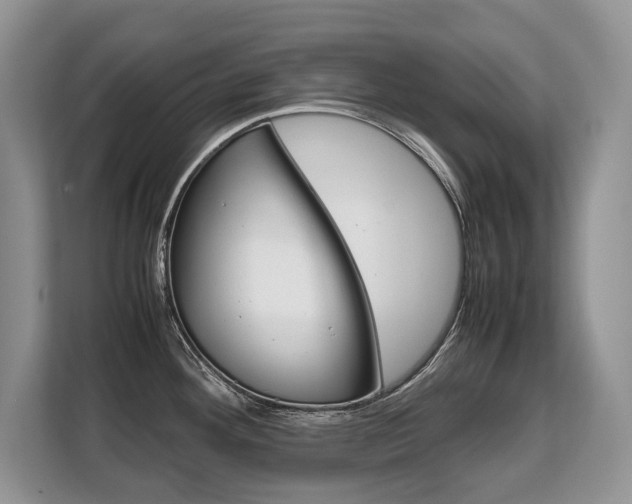 X0000108481292200904031112