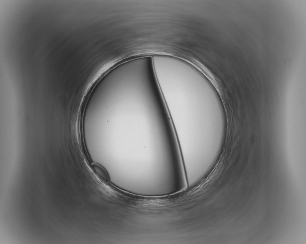X0000108481293200904031112