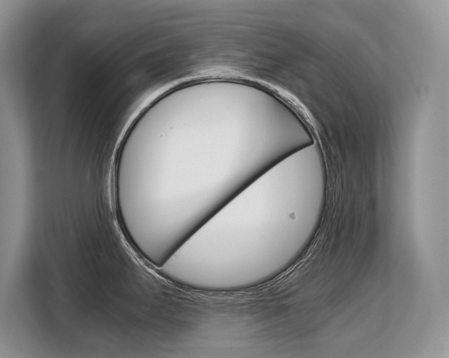 X0000108481295200904031112