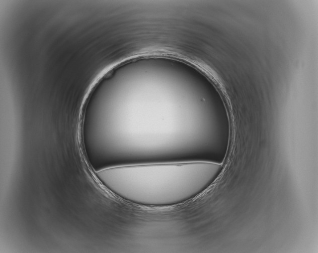 X0000108481296200904031112