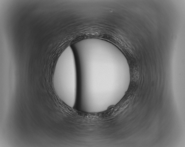 X0000108481297200904031111