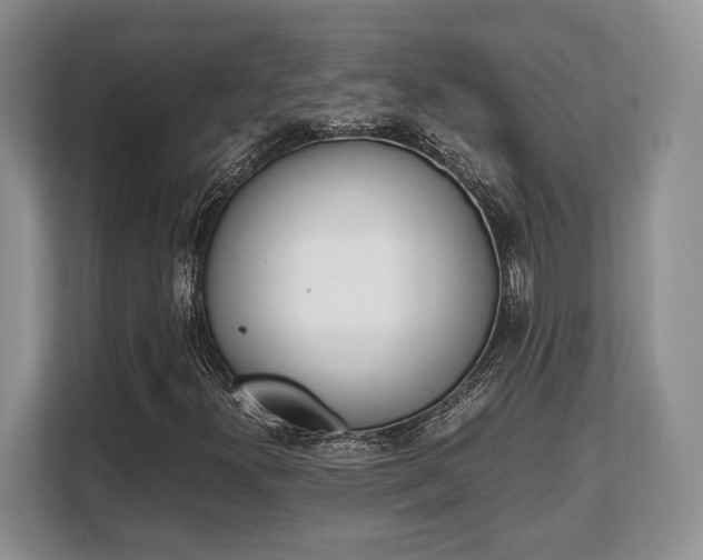 X0000108481300200904031111