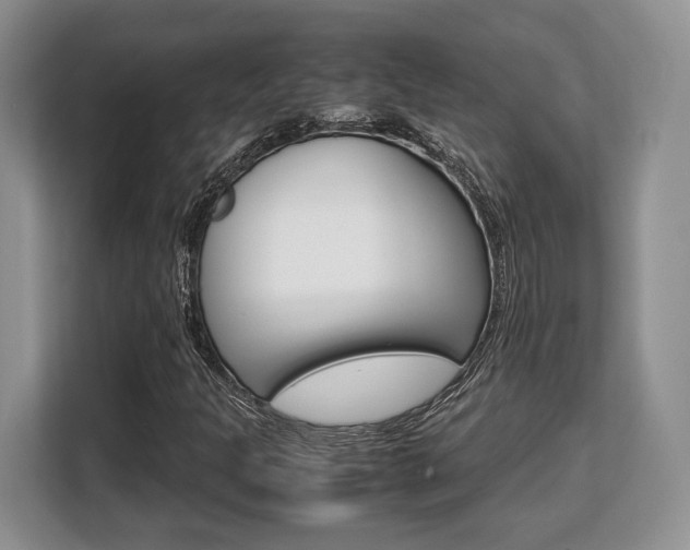 X0000108481301200904031111