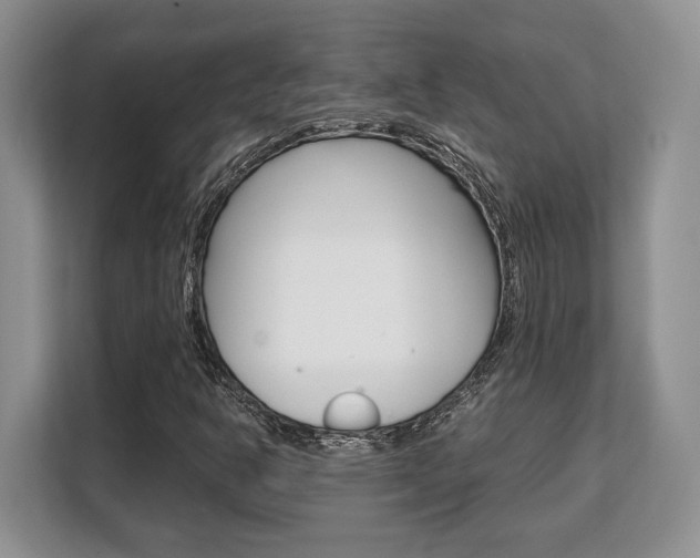 X0000108481302200904031111