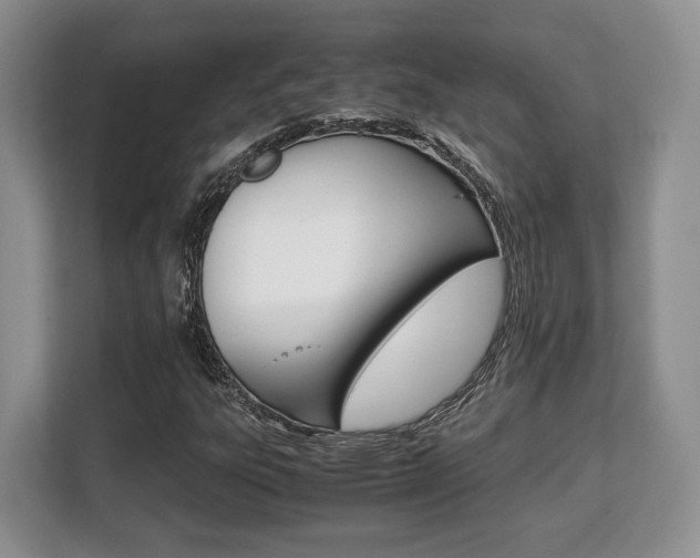 X0000108481303200904031111
