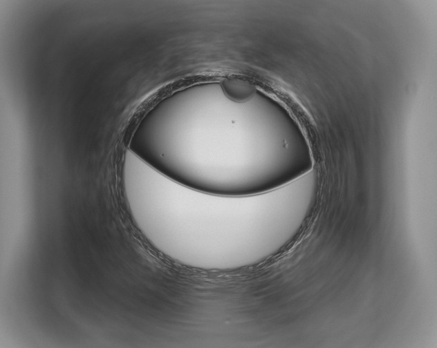 X0000108481304200904031111