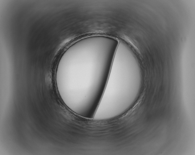 X0000108481307200904031111
