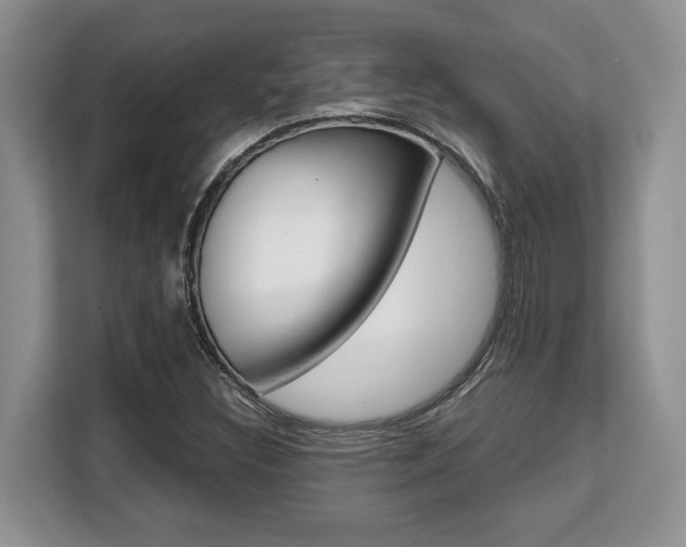 X0000108481308200904031111