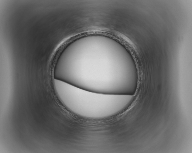 X0000108481310200904031111