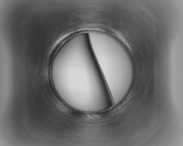 X0000108481312200904031111