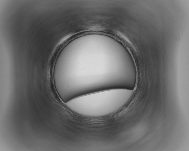 X0000108481315200904031111