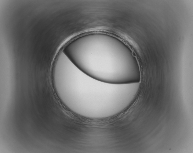 X0000108481316200904031111