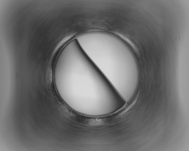 X0000108481317200904031111