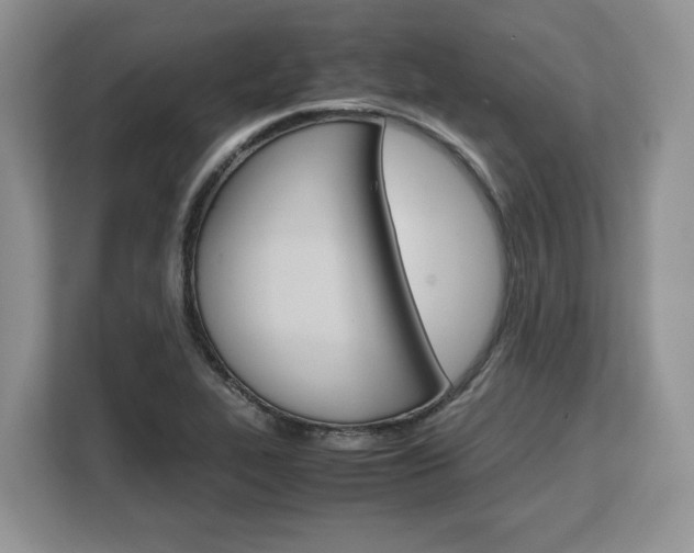X0000108481319200904031111