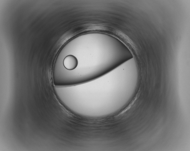 X0000108481321200904031111