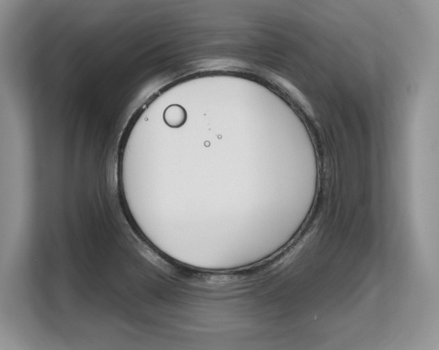 X0000108481322200904031111