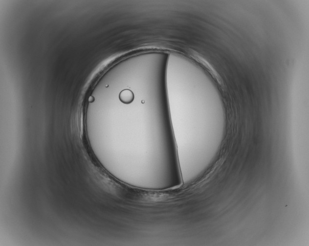 X0000108481323200904031111