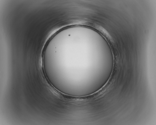 X0000108481324200904031112