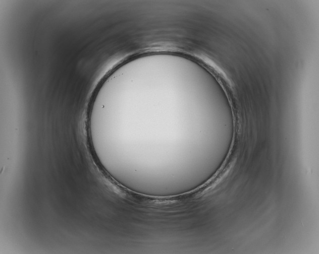 X0000108481325200904031112