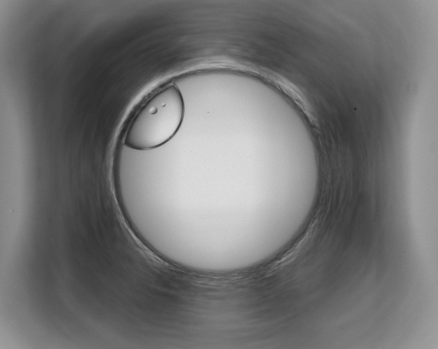 X0000108481326200904031112