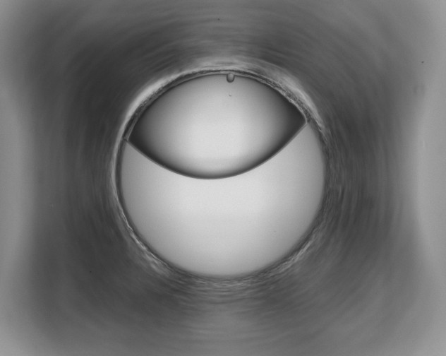 X0000108481328200904031112