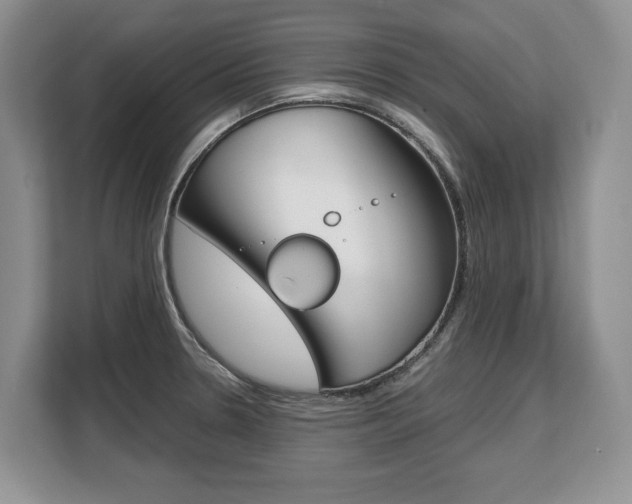 X0000108481330200904031112