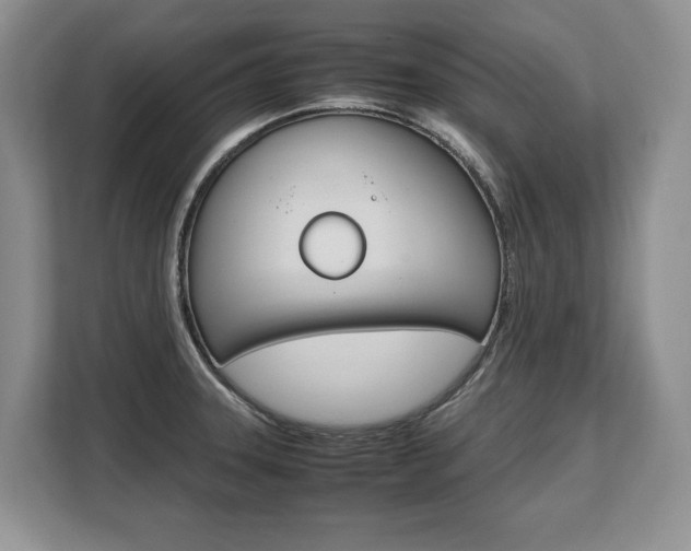 X0000108481331200904031112