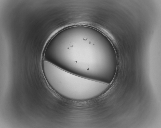 X0000108481332200904031112