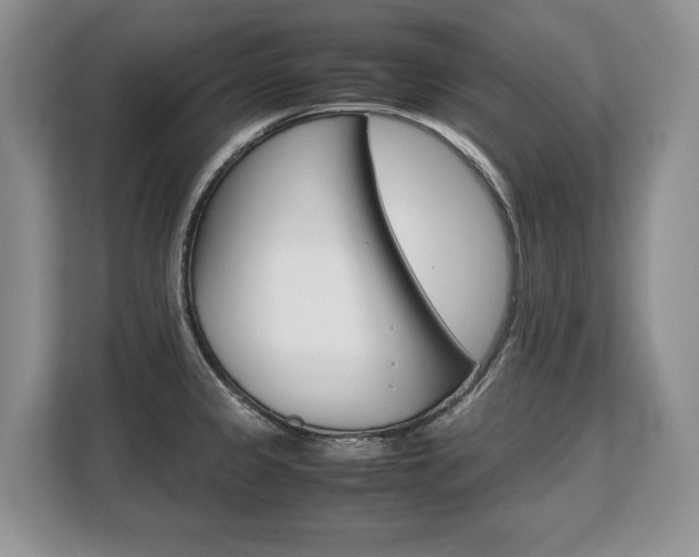 X0000108481333200904031112
