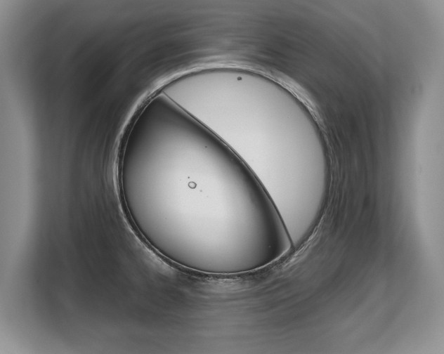 X0000108481334200904031112