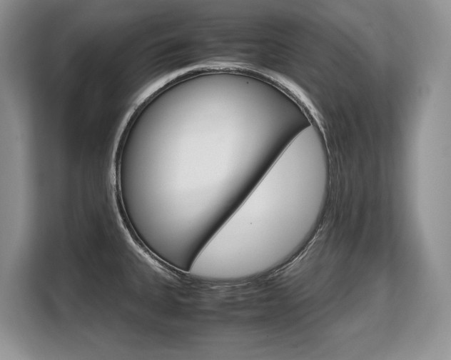 X0000108481335200904031112