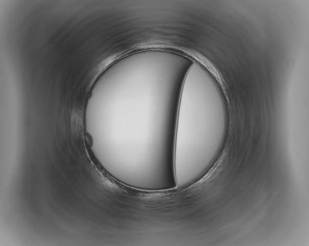X0000108481337200904031112