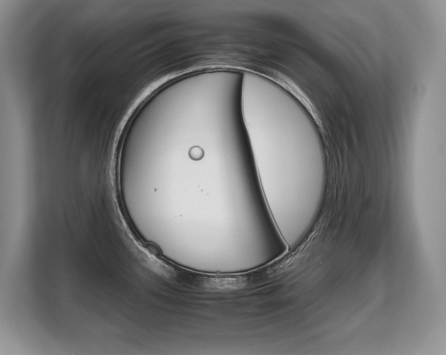 X0000108481339200904031112