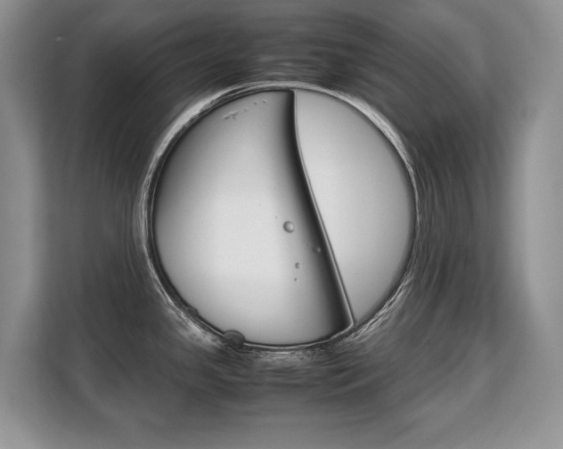 X0000108481341200904031112
