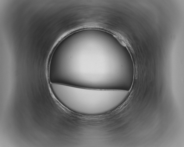 X0000108481342200904031112