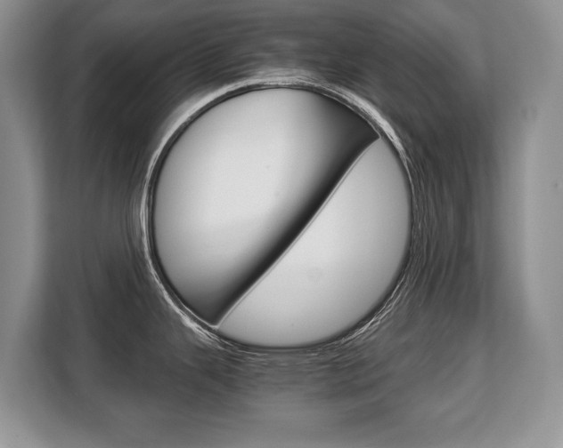 X0000108481343200904031112