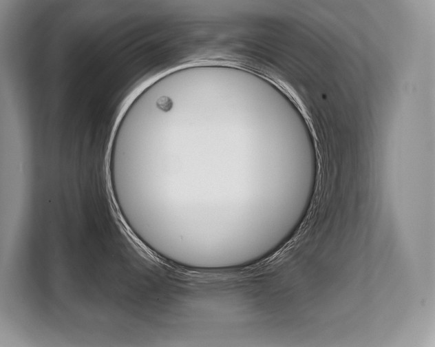 X0000108481344200904031112