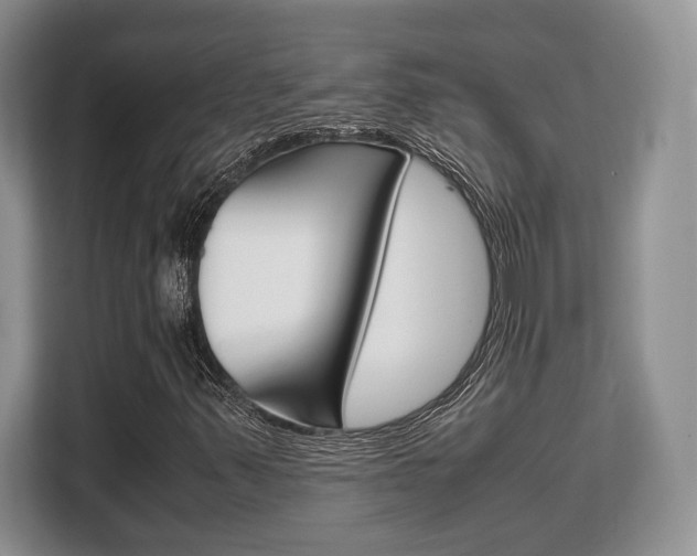 X0000108481347200904031111