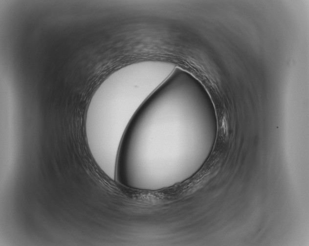 X0000108481348200904031111