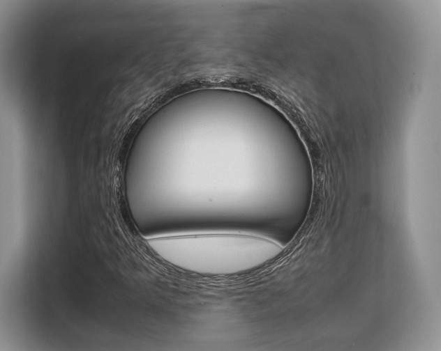 X0000108481349200904031111