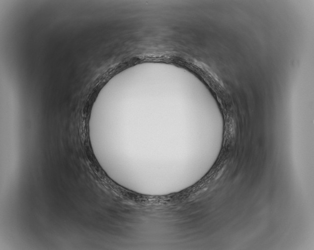 X0000108481350200904031111