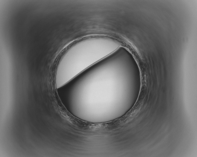 X0000108481352200904031111