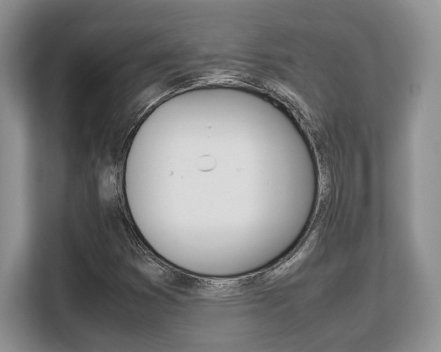 X0000108481353200904031111