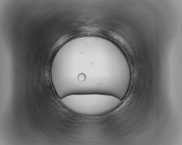 X0000108481354200904031111
