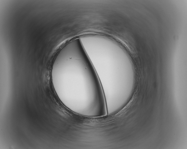 X0000108481355200904031111
