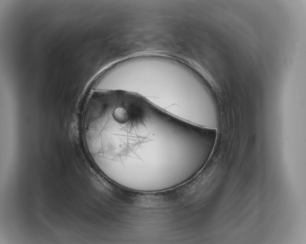 X0000108481356200904031111