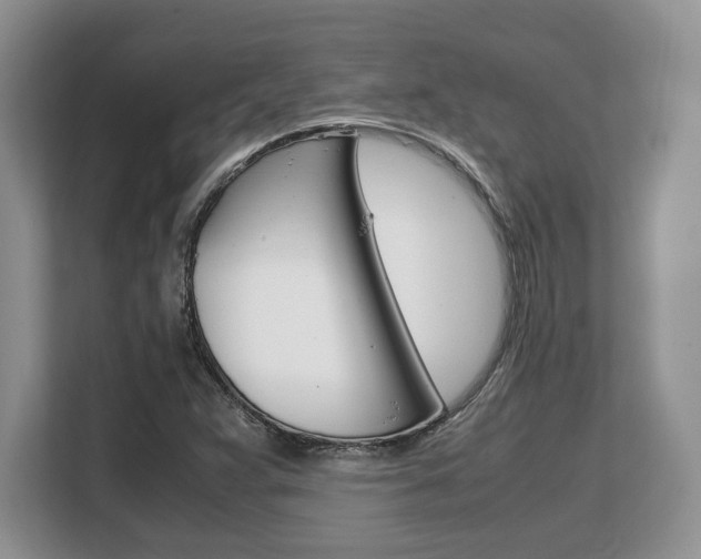 X0000108481359200904031111