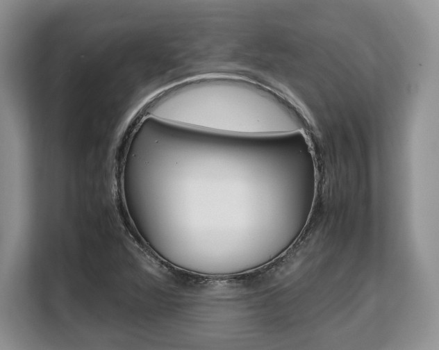 X0000108481360200904031111