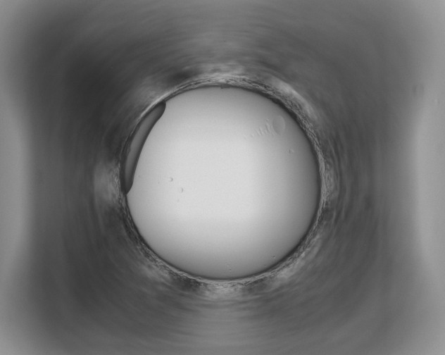 X0000108481361200904031111