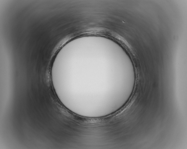X0000108481362200904031111